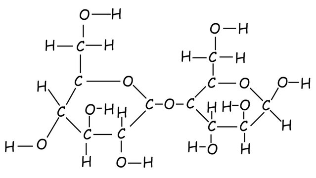 vector drawing of a cellulose molecule