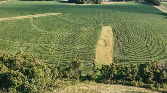 Drone perspective of a new residential housing development under construction encroaching on green farm fields, exploring suburban sprawl themes