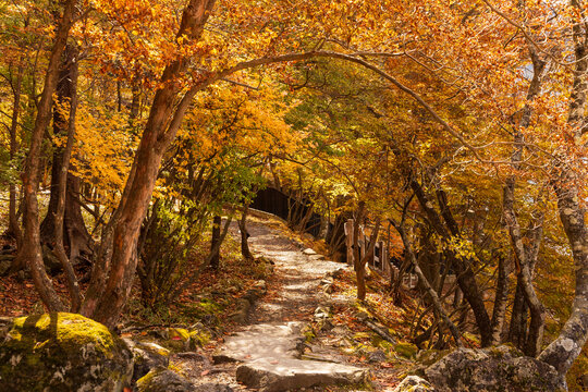 日本の風景・秋　紅葉の奥日光　英国大使館別荘記念公園
