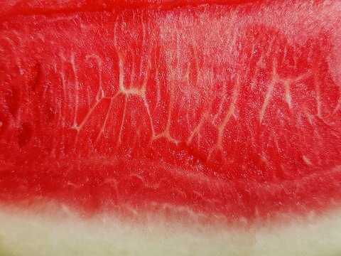 A macro close-up texture of a fresh red juicy watermelon flesh with seeds, perfect for a vibrant summer background, food backdrop, or bright wallpaper