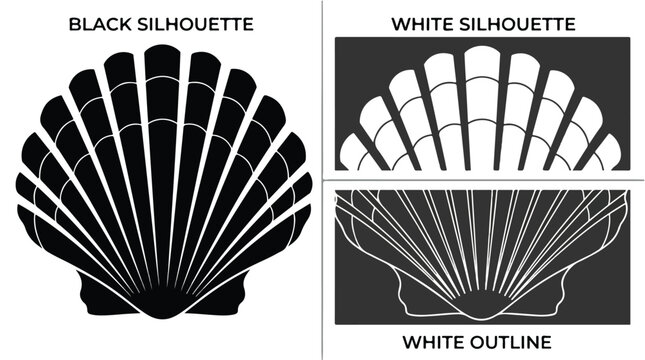 Minimalist scallop seashell silhouette set, black and white sea shell vector icons, nautical clam shell outline graphics for summer branding