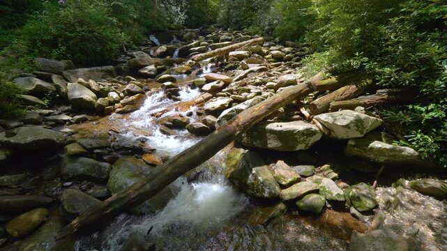 Mountain cascade spring flowing through dense forest, splashing over rocks and boulders in cool and humid natural environment.