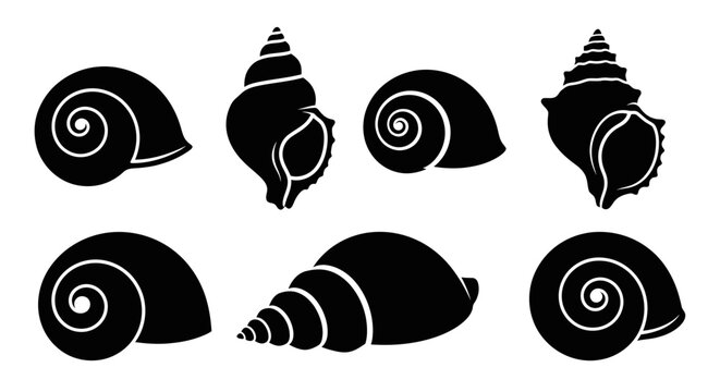 Black Silhouette Vector Illustrations of Assorted Seashells