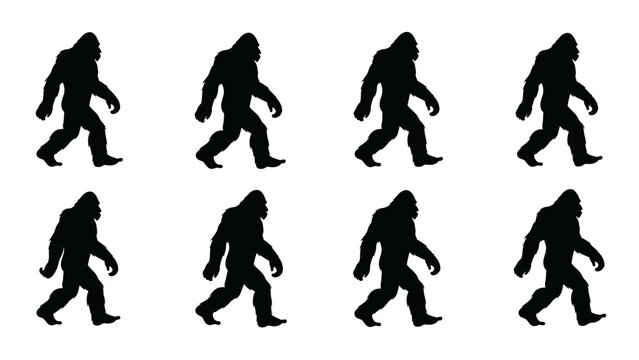 Bigfoot Silhouette Set: Four Walking Sasquatch Figures in Black and White