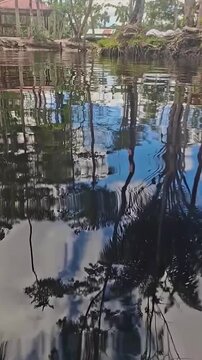 First Person View of Swimming in South-American Creek with Trees, Beautiful Blue Sky and Clouds Reflected in the Water. Vertical Video