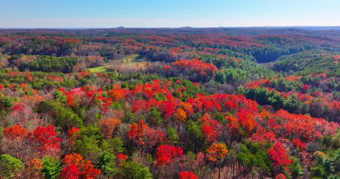 Scenic autumn view of Appalachian forest hills. Lush woods with golden trees in colorful fall season.