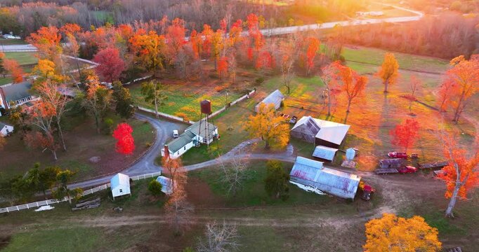 Elegant farmhouses hidden between bright autumn trees, golden leaves framing property in peaceful southern rural scene.