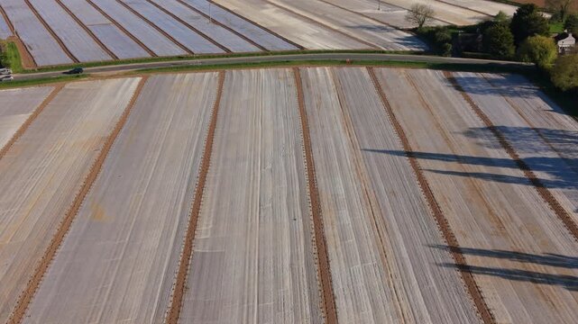 Aerial perspective of agricultural fields featuring plastic mulch laid over soil, with visible crop rows and a winding road, capturing the essence of rural farming practices in bright daylight setting