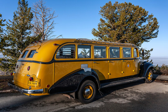 Historic White Motor Company Yellow Bus Model 706 Tour Vehicle at Yellowstone National Park, Wyoming