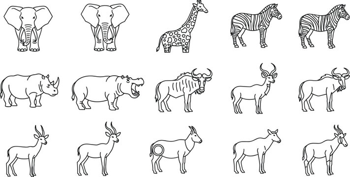 African Safari Animals Line Art Vector Set with Elephant, Giraffe, Zebra, Rhino, Hippo, and Antelope Illustrations