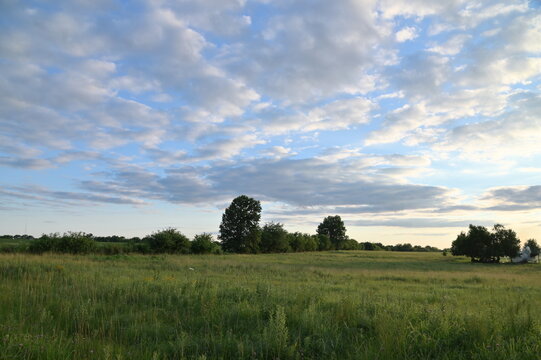 Clouds Over a Field