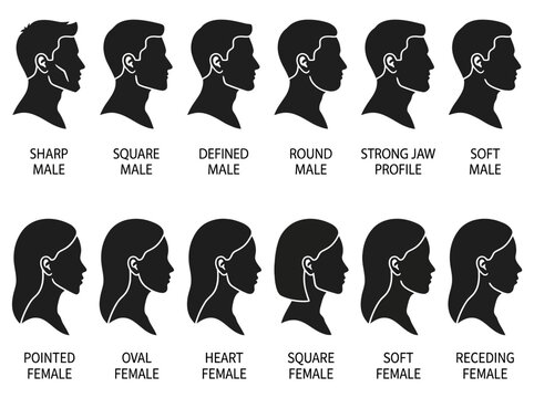 jawline shape face illustration
