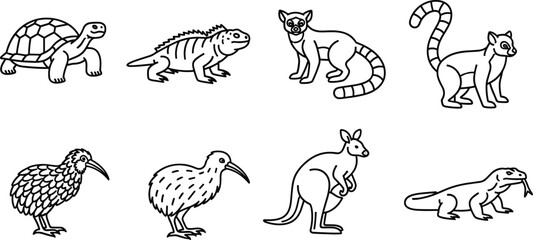 Island Animals Coloring Page Line Art Set with Tortoise Iguana Lemur Kiwi Kangaroo and Komodo Dragon Outline Icons Collection for Kids © MdMustak