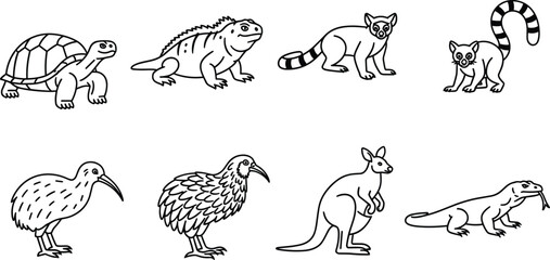 Island Animals Coloring Page Line Art Set with Tortoise Iguana Lemur Kiwi Kangaroo and Komodo Dragon Outline Icons for Books © MdMustak