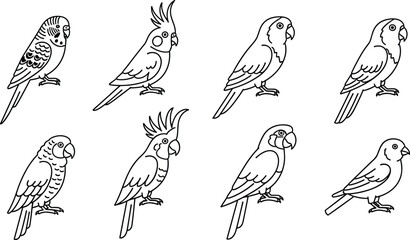 Pet Bird Species Line Art Vector Set with Budgie, Cockatoo, Macaw, Parrot, and Finch Outline Illustrations for Coloring Books © MdMustak