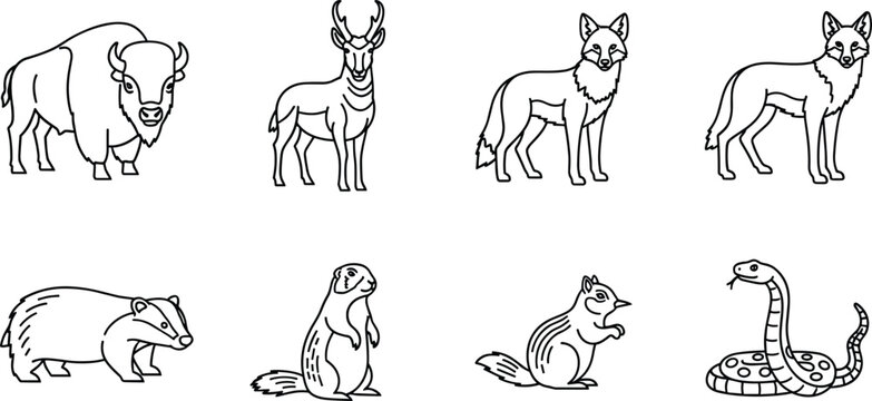 Prairie Animals Coloring Page Line Art Set with Bison Pronghorn Wolf Badger Prairie Dog Chipmunk and Rattlesnake Outline Icons for Kids
