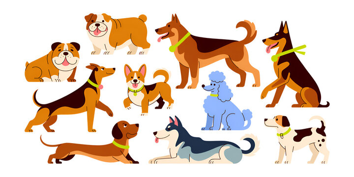 Various dog breeds standing and sitting together in a lively arrangement with colorful collars