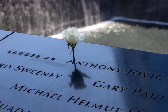 View of 9/11 victims' names and a birthday rose on the North Memorial Pool, at the National September 11 Memorial and Museum, with view of victims&rsquo; names, on June 4, 2026 in New York City, New