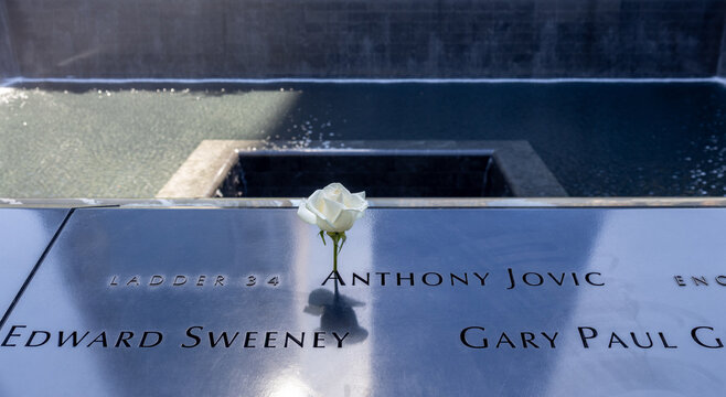 View of 9/11 victims' names and a birthday rose on the North Memorial Pool, at the National September 11 Memorial and Museum, with view of victims&rsquo; names, on June 4, 2026 in New York City, New