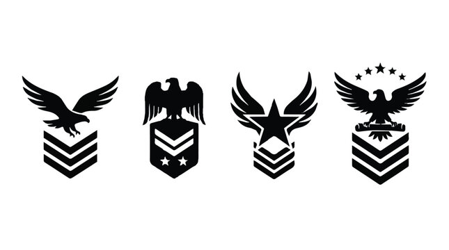 Military rank insignia badges with wings and stars