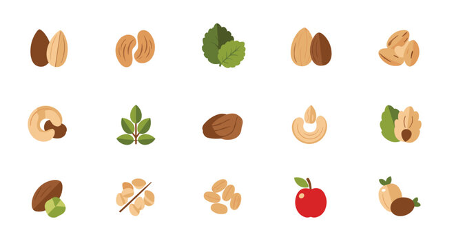 Collection of various types of nuts and leaves including almonds hazelnuts cashews and walnuts in a flat style.