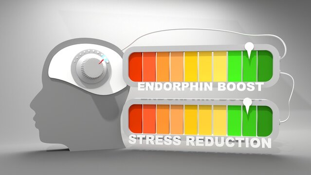 Influence of endorphin boost on stress reduction values. Scales of cause and effect. Meter showing increasing high values. Getting good results. 3D render