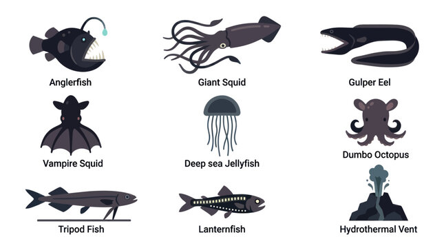 Collection of Deep Sea Creatures and Hydrothermal Vent.