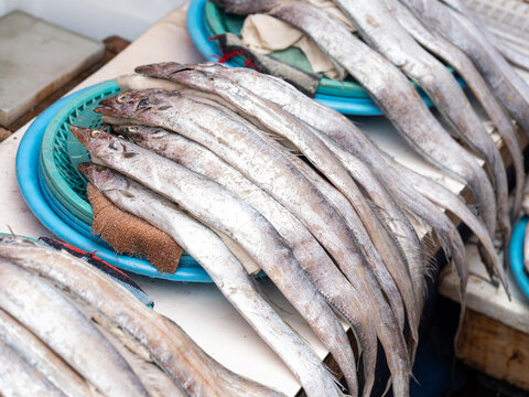 Seafood at the fish market
