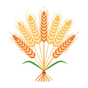 Flat illustration of a wheat bundle with green leaves