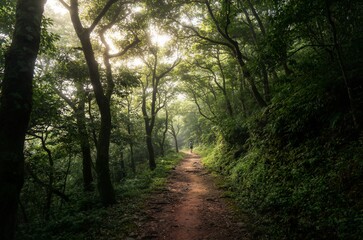 Fototapeta premium Man walking down a dirt path in a lush green forest with sun rays breaking through trees for eco-friendly branding