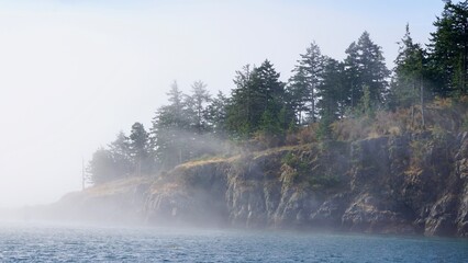 Misty cliffside with sun beams hitting the trees © CP Studios