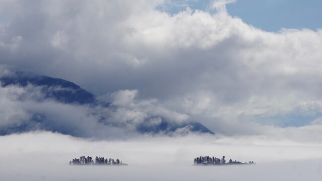 misty shoreline views along the Alaskan coast