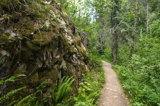 The Pulaski Tunnel hiking trail passes by a rocky cliff along a mountain path through dense woodlands near Wallace, Idaho.