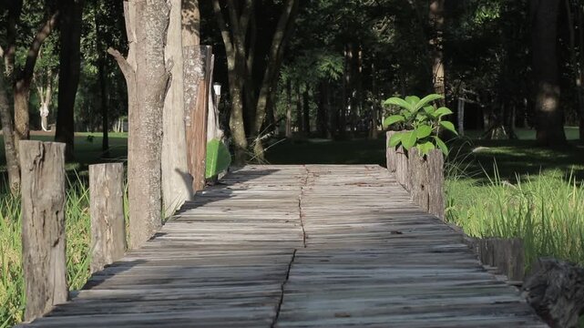A rustic wooden bridge leading into a shady tropical forest. Scenic outdoor pathway surrounded by green grass fields under bright daylight.