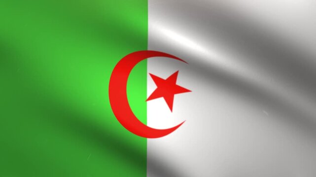 Algeria Flag Waving Seamless Loop
