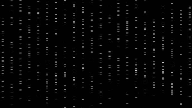 Puffed: Matrix line Particle Network geometry shape object landscape abstract formation generative animation art generative technology Design Motion
