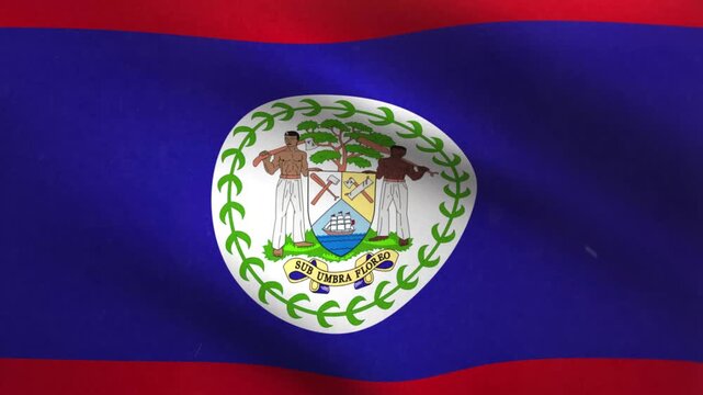 Belize Flag Waving Seamless Loop