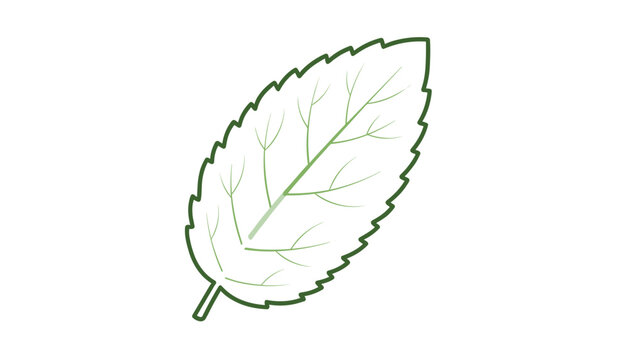 Detailed green mint leaf icon showing intricate veins isolated on plain white background botanical graphic.