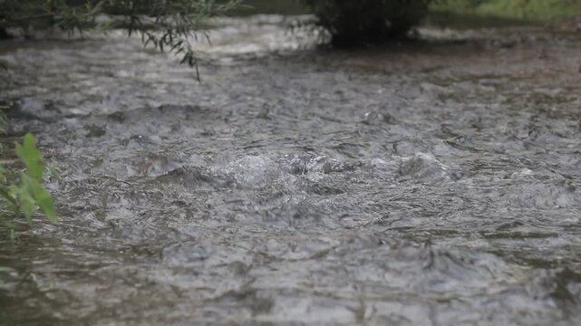 Close up of rapid and turbulent water flowing fast in a forest stream. Powerful and dynamic natural rapids movement background.