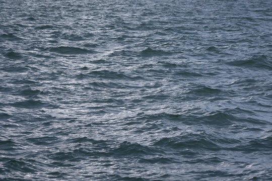 A close-up shot of the dark blue ocean water surface, with gentle waves and small ripples r