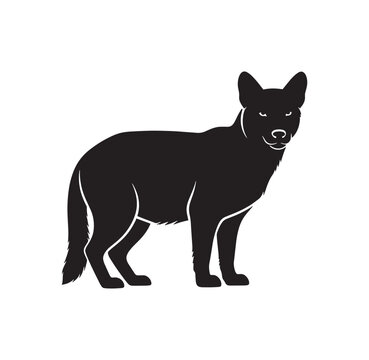 Silhouette of a wild dingo standing alone with wildlife silhouette predator australia standing isolated creature scavenger wilderness illustration