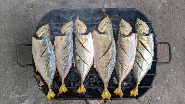 Fresh Whole Yellowtail Scad Fish Grilling Over Hot Charcoal On A Rustic Metal Barbecue Grate Top View Outdoor Cooking Concept