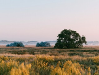 Obraz premium Wide environmental spring meadow with a lone tree and misty foliage under a warm linen sky for seasonal nature background and design layout