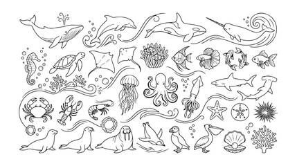 Ocean life vector collection, marine animals and sea creatures, underwater world line art, aquatic wildlife illustrations for educational and design projects © Nasra
