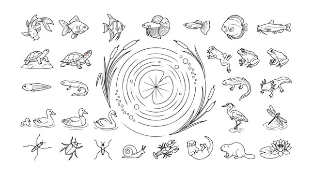 Aquatic life vector icon set, 35 hand-drawn line art illustrations of pond and river animals, fish, insects, and plants, nature and wildlife collection for educational and environmental designs