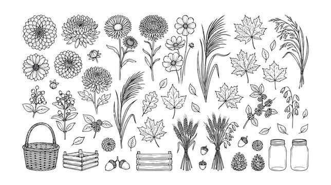 Autumn Harvest Botanical Vector Set, Hand-Drawn Fall Flowers, Leaves, Berries, and Rustic Farm Elements, Black and White Line Art Collection for Seasonal Designs