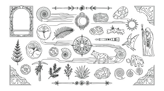Ancient history and natural science vector collection, hand-drawn vintage illustrations of fossils, plants, animals, and mystical objects, decorative frames and borders for educational or