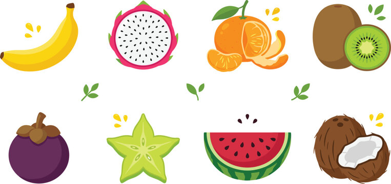 Tropical exotic fruit vector collection featuring banana dragonfruit orange kiwi mangosteen carambola watermelon coconut on white background