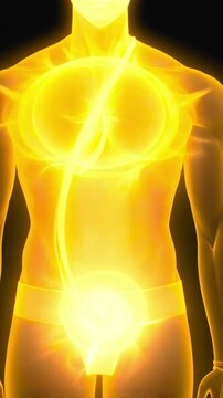 Glowing male torso with urinary system and neural energy flow visualization showing luminescent bladder and urethra, pulsing yellow pathways from pelvis to chest, anatomy overlay on black
