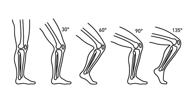 Knee Joint Flexion Angles Diagram: 30, 60, 90, 135 Degrees